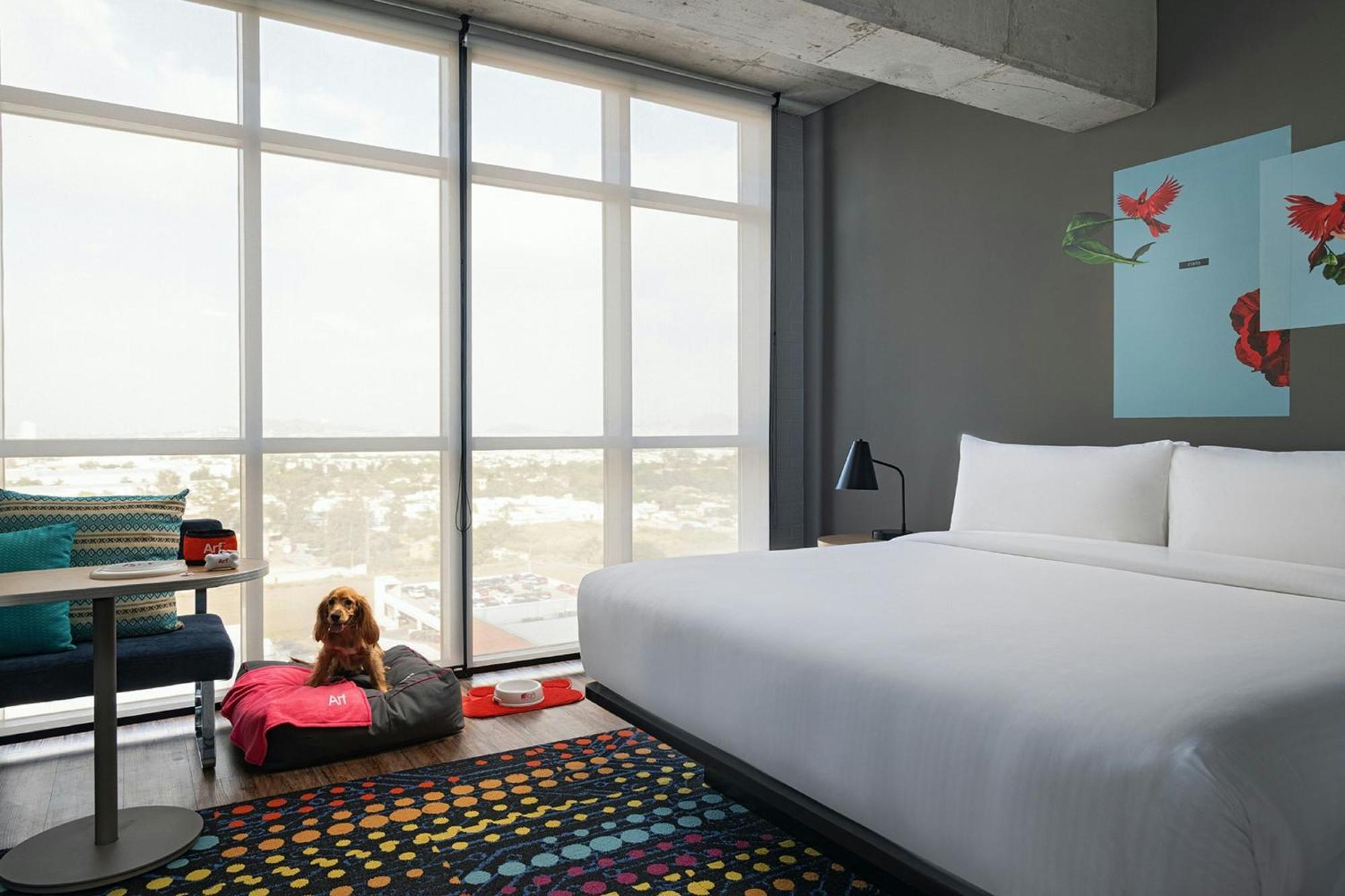 فندق Aloft Guadalajara Sur Santa Anita  المظهر الخارجي الصورة